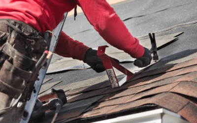 Essential Roof Repair Tips for Macon Homeowners: How to Protect Your Investment